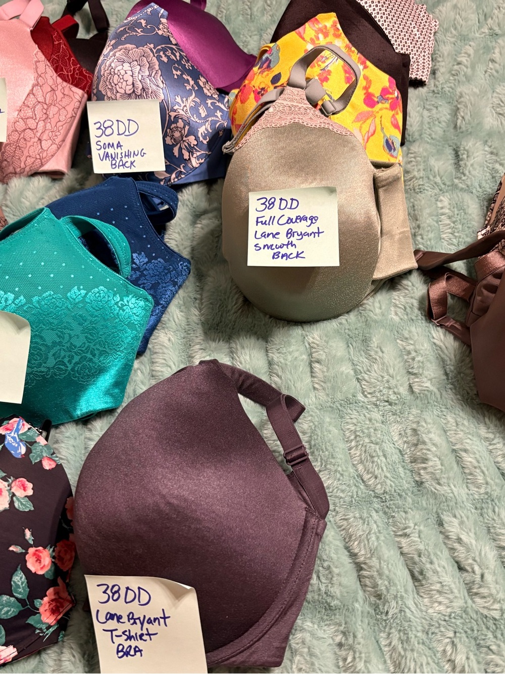 Soma / Lane Bryant Cacique Bras